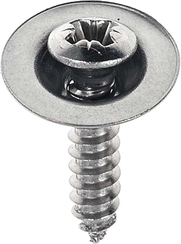 1983-02 Rear License Lamp Screws Pair 