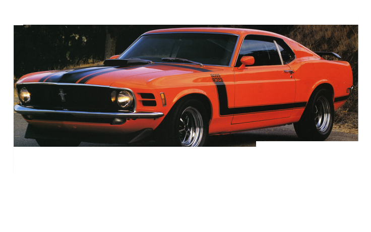 *1970 Boss 302 Mustang Complete Stripe Kit with Custom Fender Numerals