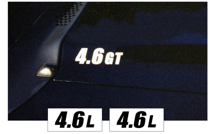 1994-98 Mustang Hood Cowl Stripe and Decal Set - 4.6L DOHC Name