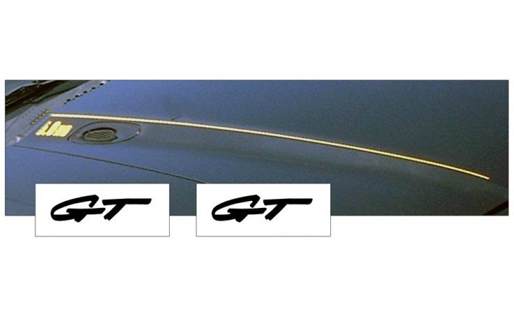 1994-98 Mustang Hood Cowl Stripe and Decal Set - GT Name