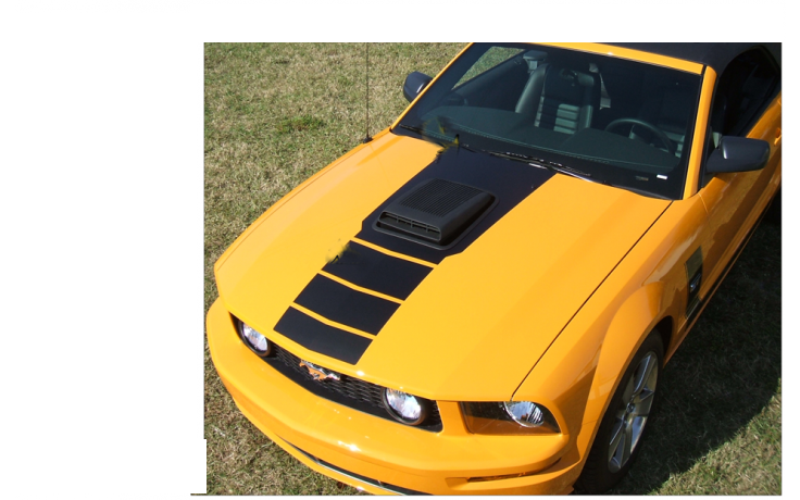 2005-09 Mustang Shaker Center Fader Hood Decal