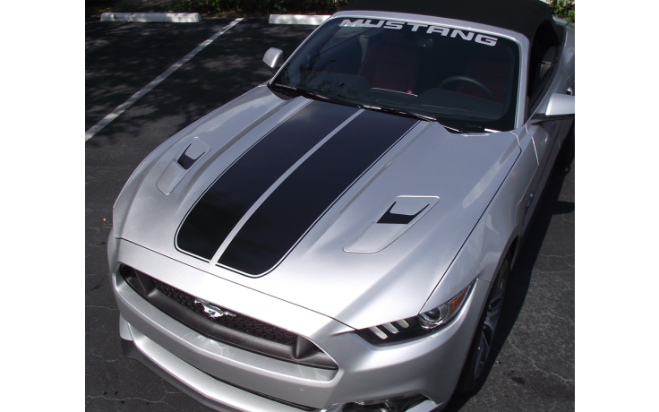 2015 Mustang - Dual Hood Stripes w/ Pinstripes