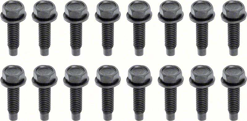 1968-81 Camaro/Firebird, 1968-72 Nova 16 Piece Lower Door Hinge Bolt Set 