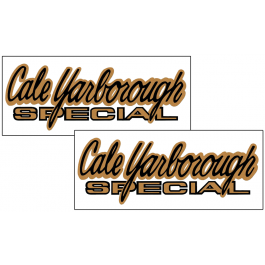 1969 Mercury Cyclone - Cale Yarborough Special - Decal Set