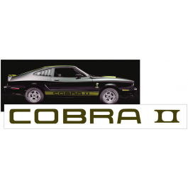 1975-77 Cobra II Spoiler Decal