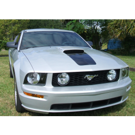 2005-09 Mustang GT Square Nose Hood Decal