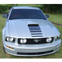 2005-09 Mustang GT Fader Nose Hood Decal