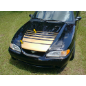 1994-98 Mustang Fade Hood Decal