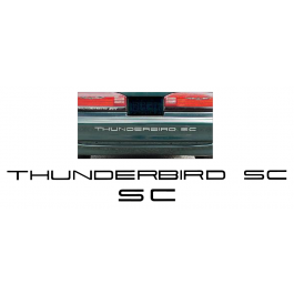 1989-95 Ford Thunderbird Embossed Bumper Letters