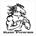 Mustang Raw Mean Power Pony Decal 18" Tall