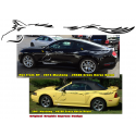 Mustang Crazy Horse Side Body Decal Set - 16" x 105"