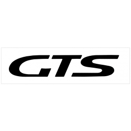 1993-94 Ford Probe GTS Door Decal