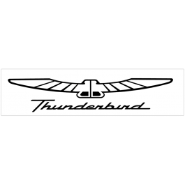 Ford Thunderbird Name and Bird Decal - 7.25" x 36"