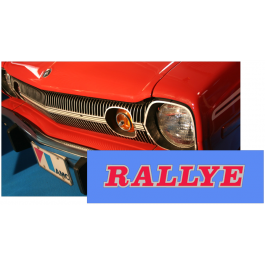 1972-76 AMC Americian Motors Hornet Rallye Decal