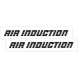 1993-02 Camaro AIR INDUCTION Decal Set