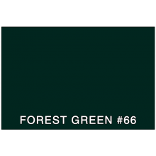 COLOR SAMPLE - 3M FORREST GREEN #66 (FGN)