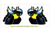 Picture of 1970 Dodge R/T Scat Pack Window Bee Decals Set - 2" Tall - Inside Application
