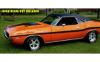 Picture of 1970 Dodge Challenger Mid Body Side Stripes Kit No R/T
