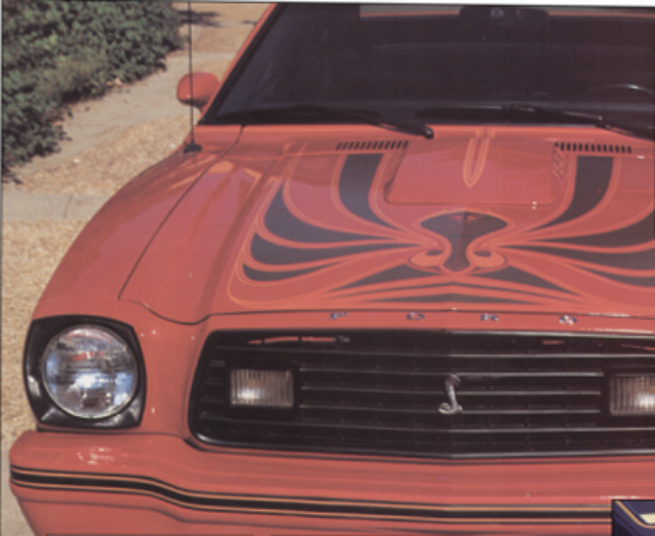 Picture of *1978 King Cobra Hood Snake and Decal Kit