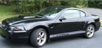 Show details for Mustang Lower Rocker Stripes - Boss Name Picture of Mustang Lower Rocker Stripes - Boss Name