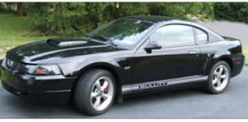 Show details for Mustang Lower Rocker Stripes - Cobra Name Picture of Mustang Lower Rocker Stripes - Cobra Name