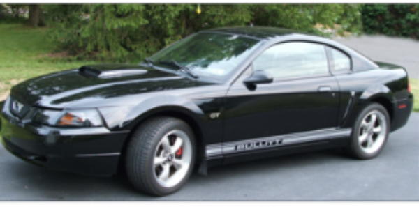 Picture of Mustang Lower Rocker Stripes - Cobra Name