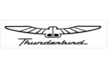 Show details for Ford Thunderbird Name and Bird Decal - 2.75" x 14" Picture of Ford Thunderbird Name and Bird Decal - 2.75" x 14"