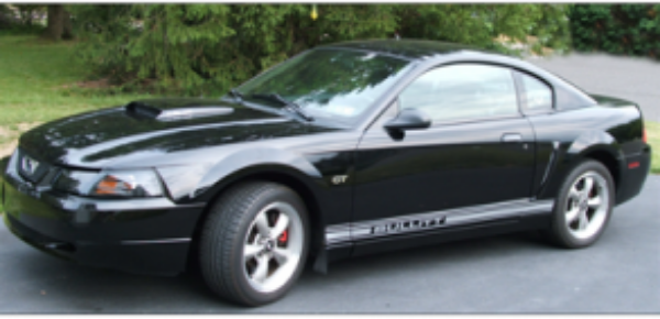 Picture of Mercury Lower Rocker Stripes - Cougar Name