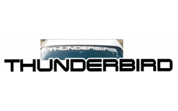Show details for Ford Thunderbird Windshield Decal Picture of Ford Thunderbird Windshield Decal