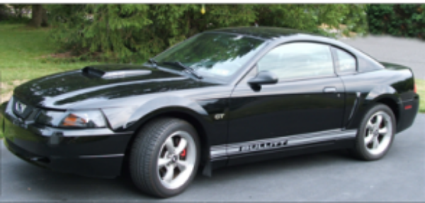 Picture of Ford Vehicle Lower Rocker Stripes - Ford Name