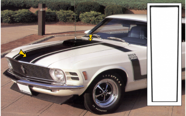 Picture of 1970 Boss 302 Mustang Center Hood Paint Stencil