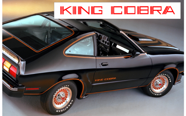 Picture of 1978 King Cobra Door Name Decal