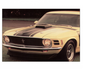 Show details for 1970 Boss 302 Mustang Entire Hood Paint Stencil Kit Picture of 1970 Boss 302 Mustang Entire Hood Paint Stencil Kit