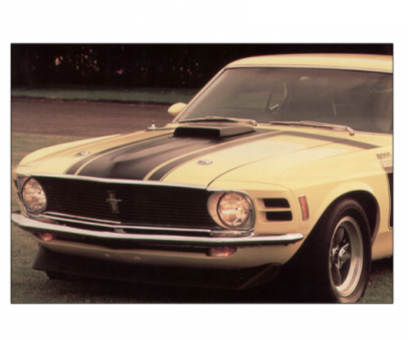 Picture of 1970 Boss 302 Mustang Entire Hood Paint Stencil Kit