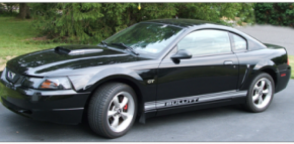 Picture of Mustang Lower Rocker Stripes - Mustang Name