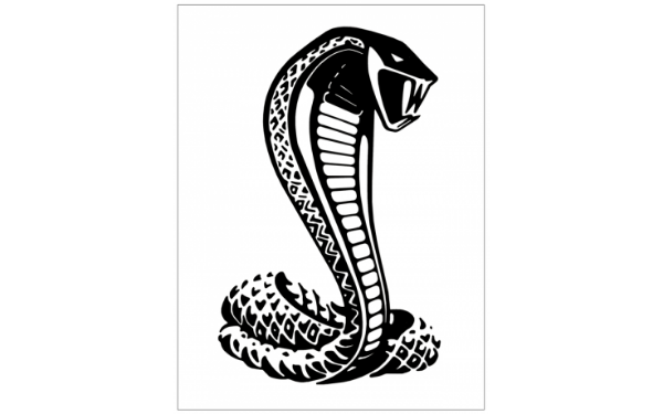 Picture of Ford Cobra 2 Snake Decal 27"