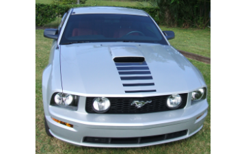 Show details for 2005-09 Mustang GT Fader Nose Hood Decal Picture of 2005-09 Mustang GT Fader Nose Hood Decal