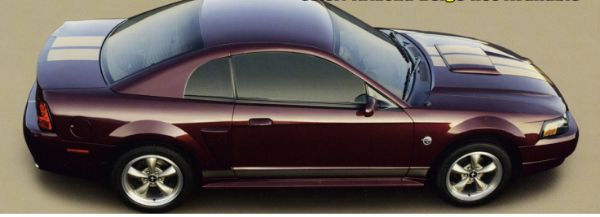 Picture of 2004 Mustang 40TH Anniversary Dual Racing Stripes