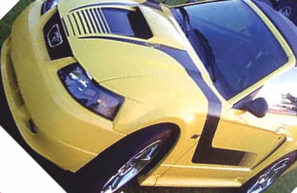 Picture of 1999-04 Mustang Boss Hood Decal and Side Stripes - No Name