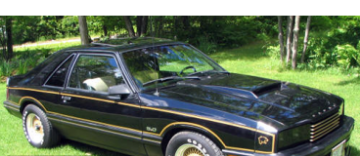 Show details for 1981 Mercury Capri Black Magic Stripe Kit with Cat Head Decal Picture of 1981 Mercury Capri Black Magic Stripe Kit with Cat Head Decal