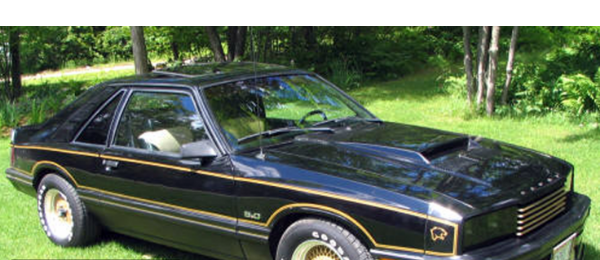 Picture of 1981 Mercury Capri Black Magic Stripe Kit with Cat Head Decal