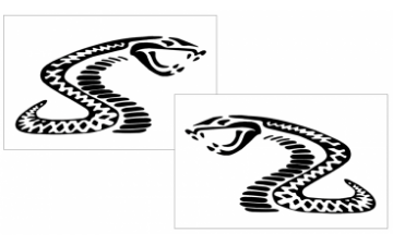 Show details for Mustang Radical Cobra Decal Set - 4" Tall Picture of Mustang Radical Cobra Decal Set - 4" Tall