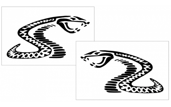 Picture of Mustang Radical Cobra Decal Set - 4" Tall