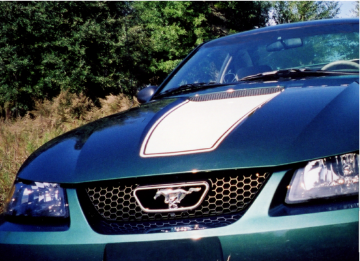Show details for 1999-03 Mustang Square Nose Hood Decal with Pinstripe & GT Decals Picture of 1999-03 Mustang Square Nose Hood Decal with Pinstripe & GT Decals