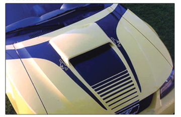 Show details for 1999-04 Mustang Boss Hood Decal with No Name - Flat or Raised Hood Picture of 1999-04 Mustang Boss Hood Decal with No Name - Flat or Raised Hood