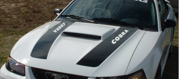 Picture of 1994-04 Mustang Dual Hood Stripes with Cobra Cutout