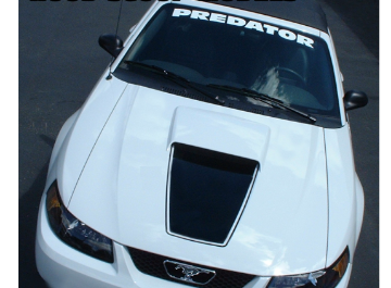Show details for 1999-04 Mustang GT Square Nose Hood Decal with Pinstripe - Hood Scoop Picture of 1999-04 Mustang GT Square Nose Hood Decal with Pinstripe - Hood Scoop
