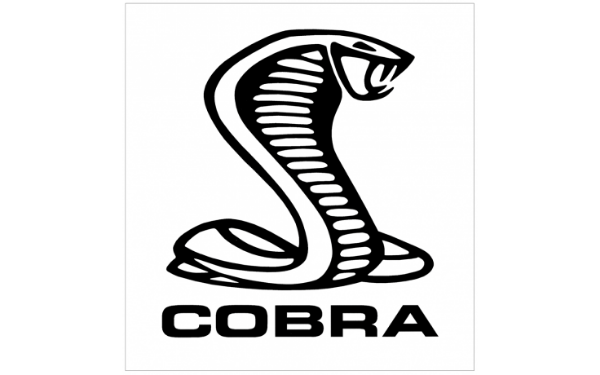 Picture of Cobra Snake Decal - Cobra Name Below - 20" Tall