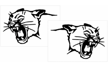 Show details for Cougar Head Decal Set - 6" Tall Picture of Cougar Head Decal Set - 6" Tall
