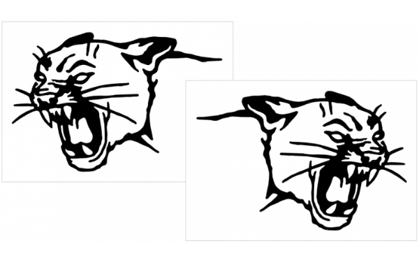 Picture of Cougar Head Decal Set - 6" Tall